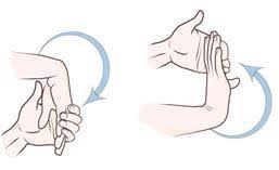 TMS interprète langue des signes